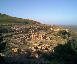 Cyrene 5